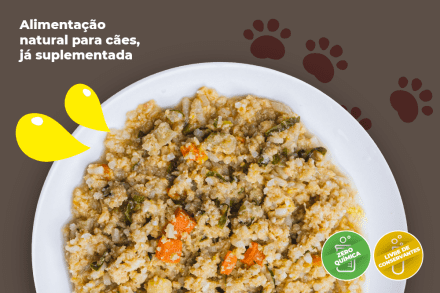 Risoto de Salmão - 800g