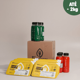 Kit Detox Day - Plano de 3 dias