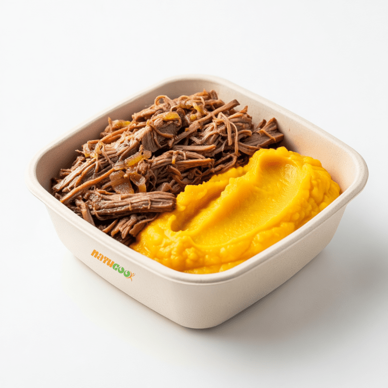 Carne Desfiada com Purê de Abobora