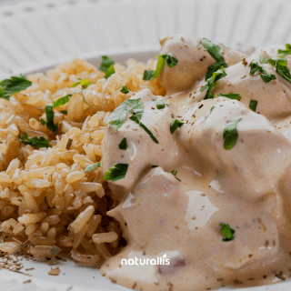 Mega Strogonoff light de frango + Arroz integral