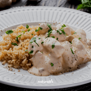 Strogonoff light de frango + Arroz integral